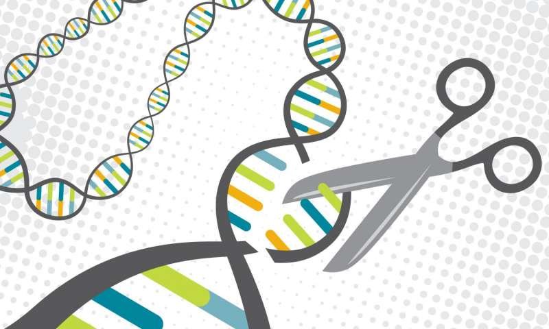 Genome Editing: A Game Changer Technology for Re-designing Life Forms