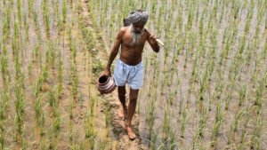 Who will Feed India – Pallav Mukharjee