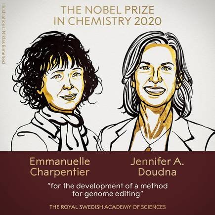 U.S.-French duo win Nobel Chemistry Prize for gene editing tool